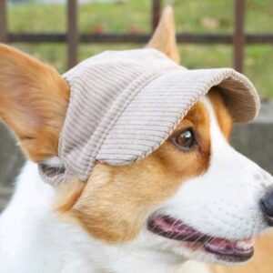Dog hat