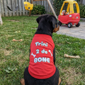 'TRINI 2 DE BONE" dog vest